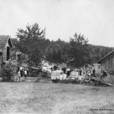 Orienteringsløpet på Rogndalen