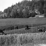 Med Skotteklev i bakgrunnen