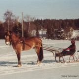 Med Varteig Prinsen foran spiss-sleden
