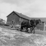En arbeidsintensiv gårdsdrift