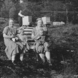 Fredelig idyll på Skogly