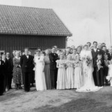 Tre brudepiker og en brudesvenn