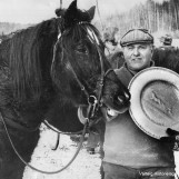 Kappkjøring med hest og slede
