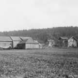 Lindemark fotografert i 1915