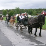 Hesteavlslaget var 100 år