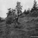 Slåttonn på Ørka