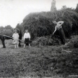 Slåttonn på Hasleødegård
