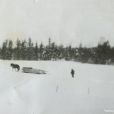 Tømmerkjøring ved Askersby