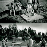 Skoleprosjekt for hekkende gjess