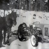 Gammel og ny tid møtes i tømmerhogsten