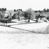 Bergerud-gårdene