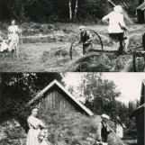 Høyonn på Stenkleven