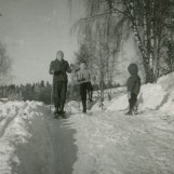 Snøens gleder