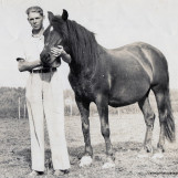 Johan var hestevant
