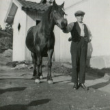 En mann for sin hest