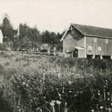 Moene tidlig på 1950-tallet