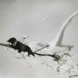 Det gikk rett på snørra for Frank