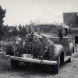 Dodgen pyntet til 17. mai