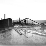 Svartdals mosemaskin 1903