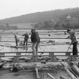 Lensearbeidere i sving med tømmerhaken 1942.
