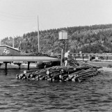Mosing av  tømmer 1955.