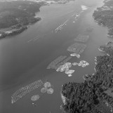 Oversiktsbilde av lensa -  flyfoto av Glennetangen Lense 1985.