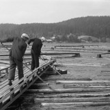 Sortering av tømmer ved Glennetangen Lense 1942.