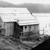 Nordre Furuholmen 1954