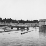 Lensemiljø Nes lense 1925.