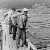 Året 1941.