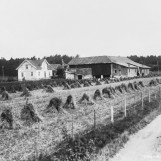 Østre Sikkeland ble delt