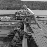 Mosing av tømmer i lensa 1985.