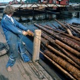Mosing av tømmer i lensa 1985.