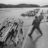 Tømmeret moset i bunter 1985