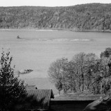 Tømmeret slepes ned Glomma 1951