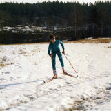 Gikk i halmstubben