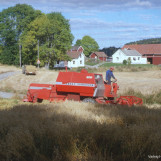 Skuronn på Bøe