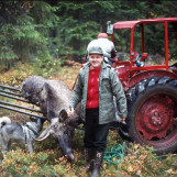 Fred Lunde har felt en elgokse