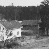 Gressløs gård