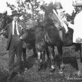 Hestene på Brusevold 1918