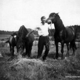 Sysenbrona, Svarta og Adelsstjerna med deres eier
