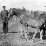 Julius Hasle på Bergby