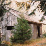 Skogen tar tilbake