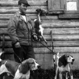 Harejakt på 1950-tallet