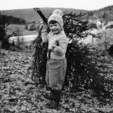 Juletreet skal sikres